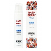 Возбуждающий гель Raspberry Mint с ароматом малины и мяты - 15 мл. - Exsens - купить с доставкой в Краснодаре