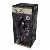 Серебристая анальная втулка Mini Metal Butt Plug Size M с красным кристаллом - Adrien Lastic в Краснодаре Серебристая анальная втулка Mini Metal Butt Plug Size M с красным кристаллом - Adrien Lastic