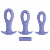 Набор из 3 анальных пробок с вибропулей Hole Punch Plug Set - Evolved в Краснодаре Набор из 3 анальных пробок с вибропулей Hole Punch Plug Set - Evolved