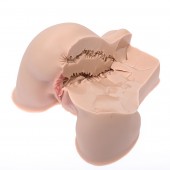 Мастурбатор-полуторс Naked Factory Kate - Naked Factory - в Краснодаре купить с доставкой