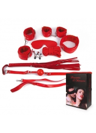 Пикантный красный набор БДСМ - Секс-кукла с вибрирующей вагиной и анусом Jamie Lynn CyberSkin Vibrating Doll with Pussy   Ass - купить с доставкой в Краснодаре