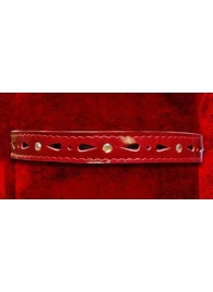 Красный декоративный ошейник со стразами - Подиум - купить с доставкой в Краснодаре