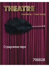 Чёрное страусовое пёрышко - ToyFa - купить с доставкой в Краснодаре