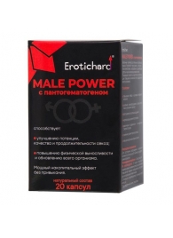 Капсулы для мужчин Erotichard male power с пантогематогеном - 20 капсул (0,370 гр.) - Erotic Hard - купить с доставкой в Краснодаре