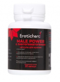 Капсулы для мужчин Erotichard male power с пантогематогеном - 20 капсул (0,370 гр.) - Erotic Hard - купить с доставкой в Краснодаре