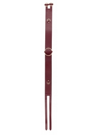 Бордовый ремень Halo Waist Belt - размер L-XL - Shots Media BV - купить с доставкой в Краснодаре