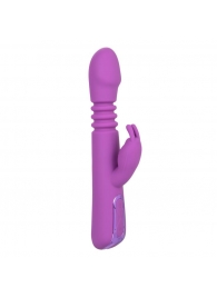 Фиолетовый вибратор-кролик Elite Thrusting Rabbit с возвратно-поступательными движениями - 23,5 см. - California Exotic Novelties