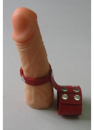 Красный кожаный поводок на пенис с кнопками - Sitabella - купить с доставкой #SOTBIT_REGIONS_UF_V_REGION_NAME#