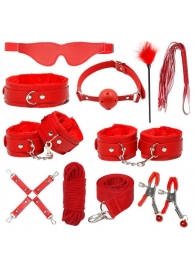 Красный БДСМ-набор «Оки-Чпоки» из 11 предметов - Сима-Ленд - купить с доставкой в Краснодаре