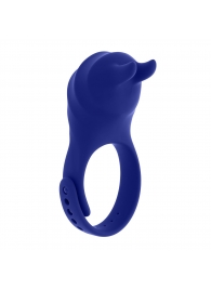 Синее эрекционное виброкольцо с клиторальной подушечкой и пультом ДУ Adjustable Fun Ring - Zero Tolerance - в Краснодаре купить с доставкой