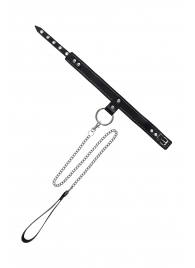 Черный узкий однослойный ошейник с серебристым поводком-цепочкой - Pecado - купить с доставкой в Краснодаре