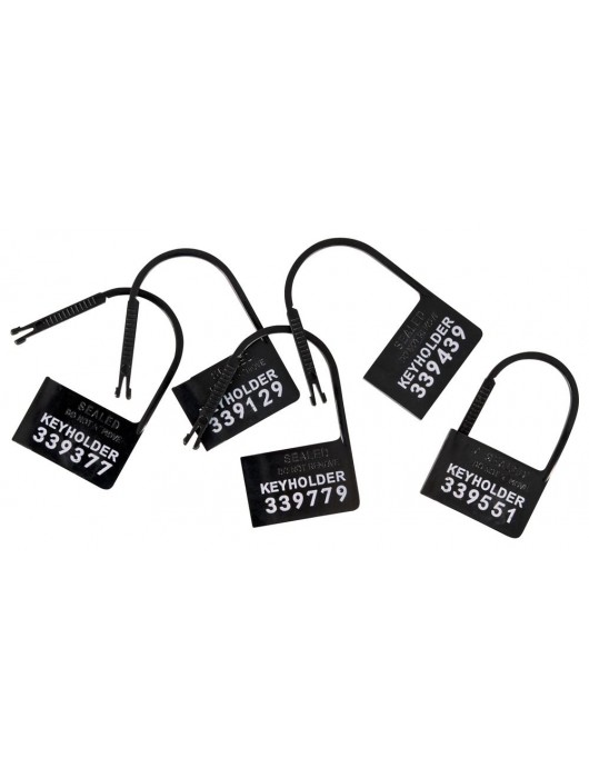 Набор для мужского пояса верности Cock Cage Set - Orion - купить с доставкой в Краснодаре