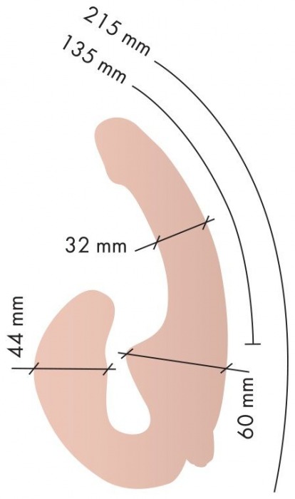 Телесный анатомический страпон с вибрацией - Главсексмаг - купить с доставкой в Краснодаре