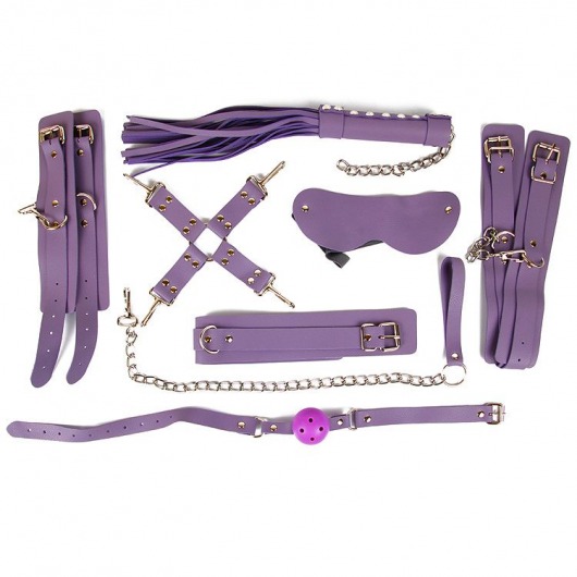 Пикантный набор БДСМ-аксессуаров фиолетового цвета - Bior toys - купить с доставкой в Краснодаре