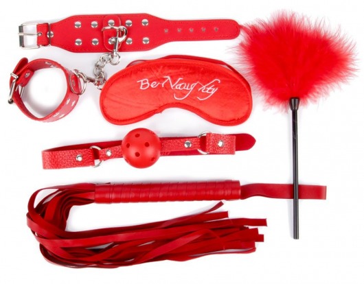 Набор красных БДСМ-аксессуаров из 5 предметов - Bior toys - купить с доставкой в Краснодаре