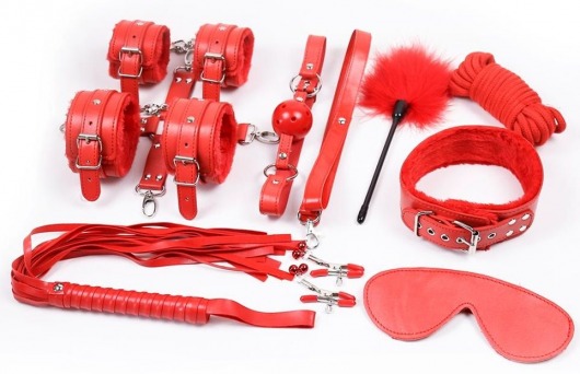 Набор красных БДСМ-аксессуаров Bandage Kits из 10 предметов - Vandersex - купить с доставкой в Краснодаре