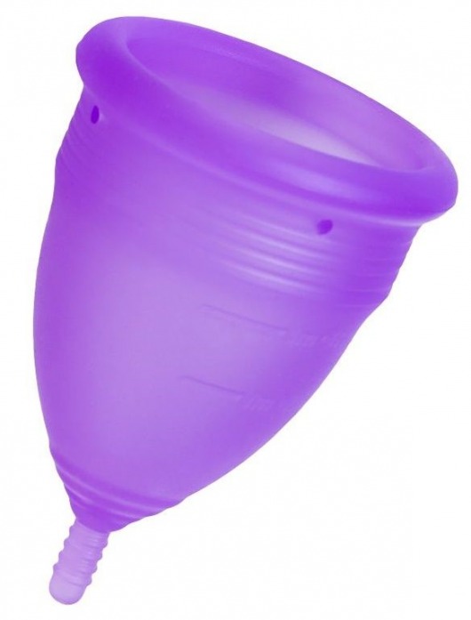 Фиолетовая менструальная чаша Lila L - Eromantica - купить с доставкой в Краснодаре
