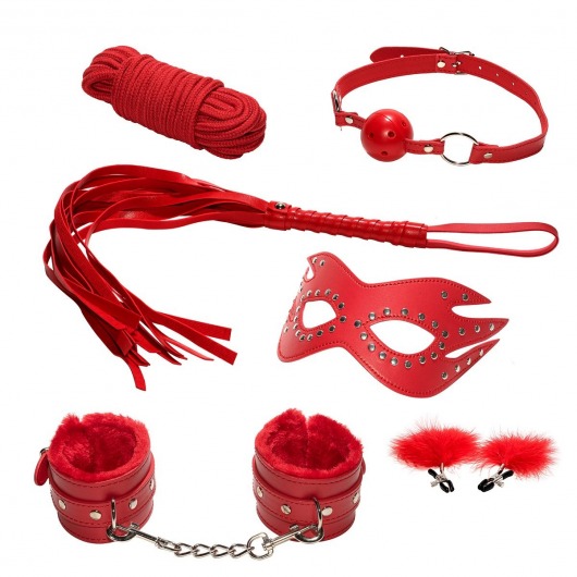 Эротический набор БДСМ из 6 предметов в красном цвете - Rubber Tech Ltd - купить с доставкой в Краснодаре