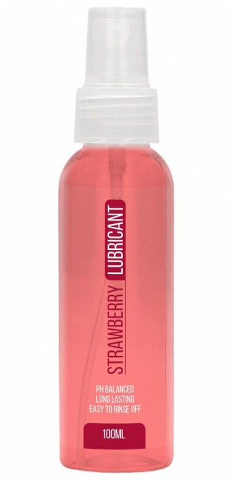 Лубрикант на водной основе с ароматом клубники Strawberry Lubricant - 100 мл. - Shots Media BV - купить с доставкой в Краснодаре