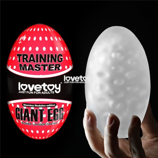 Мастурбатор-яйцо Giant Egg Stamina Nodules Edition - Lovetoy - в Краснодаре купить с доставкой