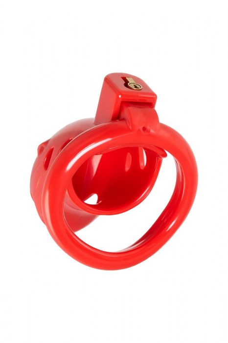 Красный мужской пояс верности из пластика - ToyFa - купить с доставкой в Краснодаре