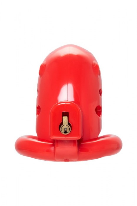 Красный мужской пояс верности из пластика - ToyFa - купить с доставкой в Краснодаре