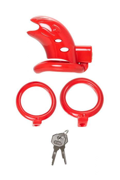 Красный мужской пояс верности из пластика - ToyFa - купить с доставкой в Краснодаре