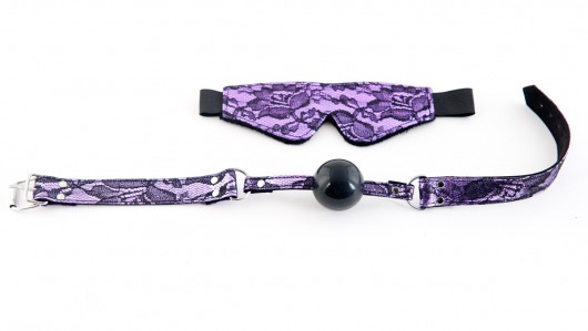 Кружевной набор пурпурного цвета: маска и кляп - ToyFa - купить с доставкой в Краснодаре