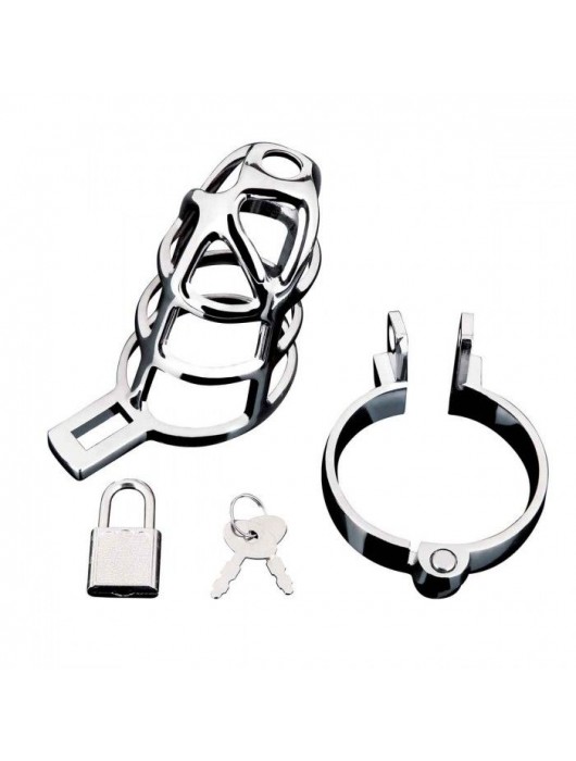 Серебристая металлическая клетка для члена с замком Enslave Cock Cage - BlueLine - купить с доставкой в Краснодаре