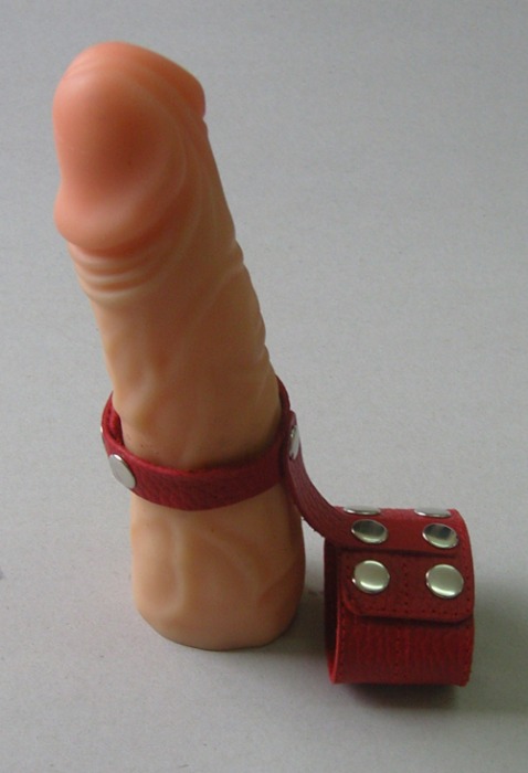 Красный кожаный поводок на пенис с кнопками - Sitabella - купить с доставкой в Краснодаре