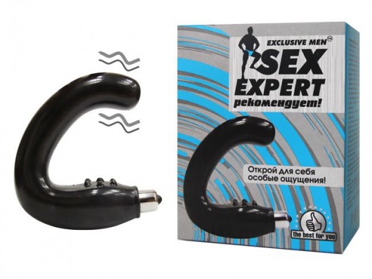 Чёрный массажёр простаты серии Sex Expert - Bior toys - в Краснодаре купить с доставкой