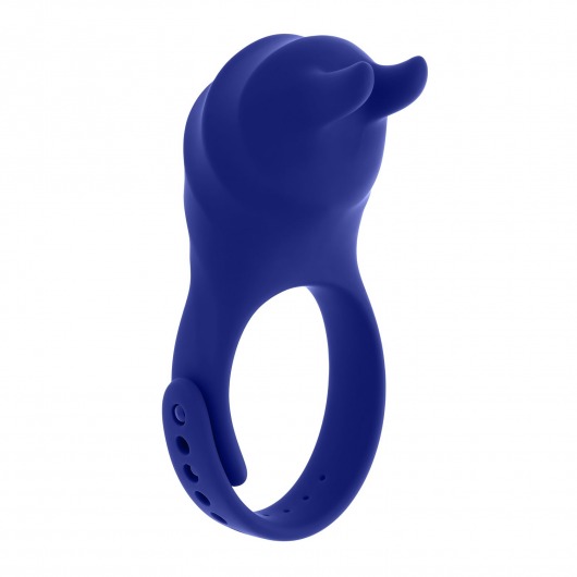 Синее эрекционное виброкольцо с клиторальной подушечкой и пультом ДУ Adjustable Fun Ring - Zero Tolerance - в Краснодаре купить с доставкой