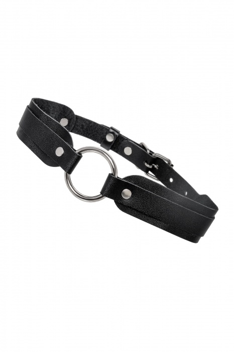 Черный кожаный чокер-ошейник со скруглёнными углами - Pecado - купить с доставкой в Краснодаре