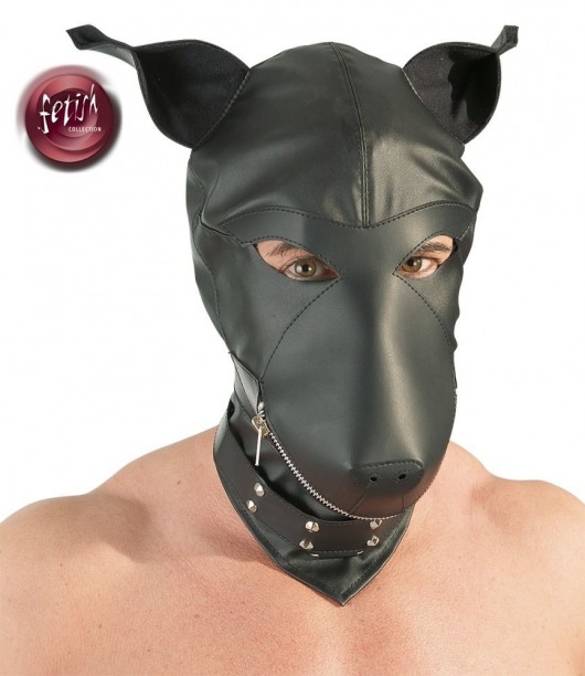 Шлем-маска Dog Mask в виде морды собаки - Orion - купить с доставкой в Краснодаре
