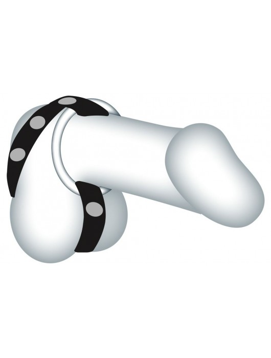 Подхват для мошонки с 3 съемными эрекционными кольцами Leder-Riemen - Orion - в Краснодаре купить с доставкой