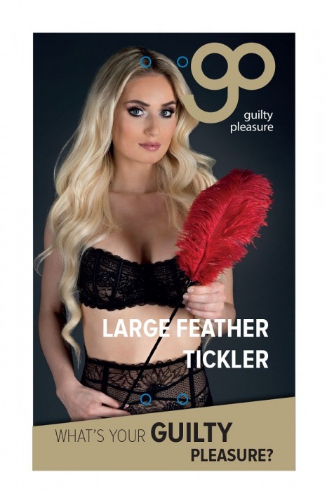 Стек с большим красным пером Large Feather Tickler - 65 см. - Blush Novelties - купить с доставкой в Краснодаре