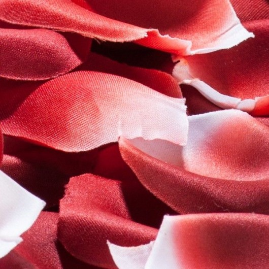 Искусственные лепестки роз с запахом - Bijoux Indiscrets - купить с доставкой в Краснодаре