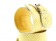 Кожаные наручники  Желтый питон - БДСМ Арсенал - купить с доставкой в Краснодаре