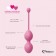 Набор из 3 розовых вагинальных шариков FemmeFit Advanced Pelvic Muscle Training Set - FeelzToys в Краснодаре Набор из 3 розовых вагинальных шариков FemmeFit Advanced Pelvic Muscle Training Set - FeelzToys